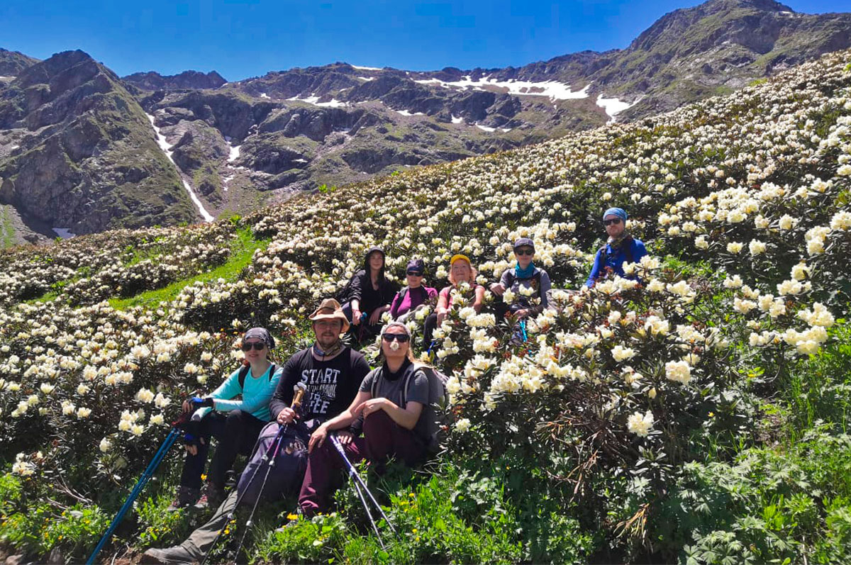 Рододендроны желтые Кавказ туристы