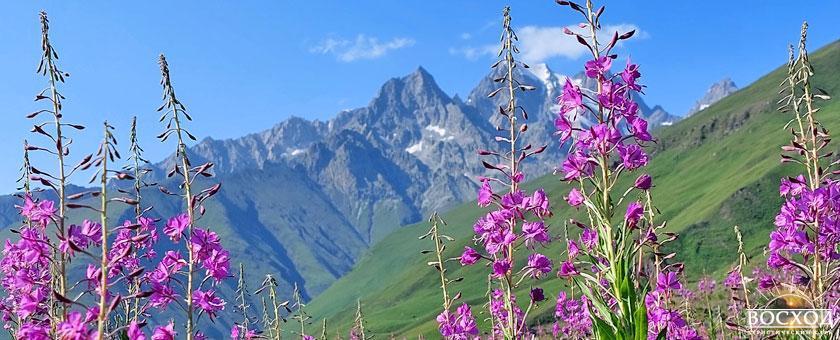 Просторы Кавказа