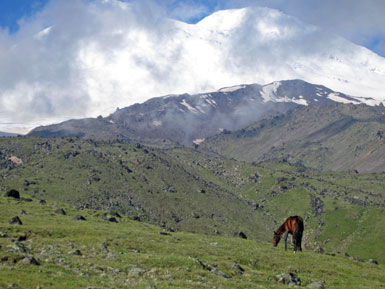 Кони на Джилы-Су. Гора Эльбрус