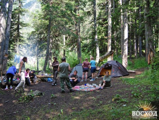 Домбай. Палаточный лагерь в лесу